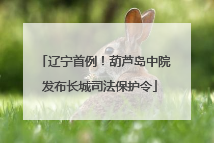 辽宁首例！葫芦岛中院发布长城司法保护令